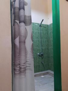 a bathroom with a shower with a shower curtain at Hotel Le Petit Paradis in Antsiranana +30 photos
