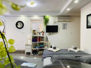 a bedroom with two beds and a tv on the wall at Hot Jacuzzi & Ice Bath Apartment in Ika