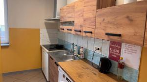 a kitchen with a sink and wooden cabinets at Apartament 1 Słoneczna in Ełk