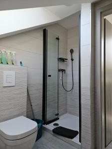 a bathroom with a shower and a toilet at Apartment Ledince in Most na Soči +44 photos