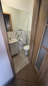 a bathroom with a toilet and a sink at Apartament 1 Słoneczna in Ełk