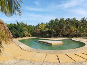 a pool of water with palm trees in the background at Anoleth in Kalpitiya
