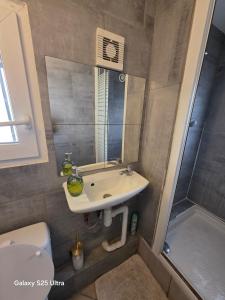 a bathroom with a sink and a shower and a toilet at PR2 - 2 Bedrooms and a Fully Equipped Kitchen in Le Blanc-Mesnil