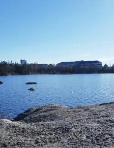 a large body of water with buildings in the background at Cozy Newly Built Room in Halifax