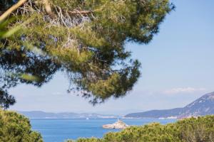 a view of the ocean from a tree at Fuga d'Amore - HelloElba in Portoferraio