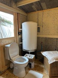 a bathroom with a white toilet and a window at Les Jardins Vert Framboise yourte et chambres d'hôtes in Beaufour