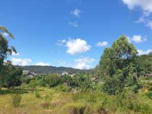 a field with trees and houses in the distance at Chez Rasoa Andasibe in Moramanga