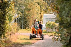 a group of children riding on a toy car at Vakantiehoeve Si-Es-An in Balkbrug