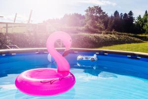 a pink swan float in a swimming pool at Przystanek Babia Apartamenty in Lipnica Wielka