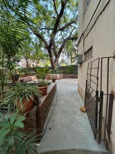 a courtyard with plants and a tree in a building at Leos Inn in Pune