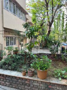 a garden with plants in pots in front of a building at Leos Inn in Pune