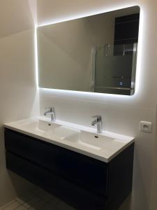 a bathroom with a sink and a mirror at Chambres Du Bois Des Hâtes in Saint-Avertin