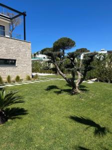 a tree in a yard next to a building at Azure Pool Villa in Lalzit Bay