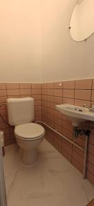 a bathroom with a toilet and a sink at Zeezicht Studio Alisa in Blankenberge