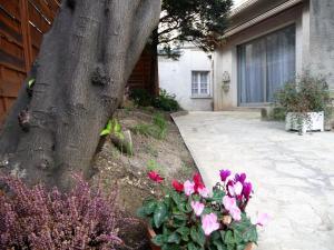 a tree with flowers in front of a house at Tourelle in Gagny