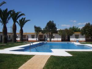 una piscina con palmeras y un edificio en Apartamentos Las Parcelas, en Conil de la Frontera