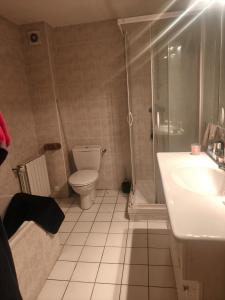a bathroom with a shower and a toilet and a sink at Une étape tranquille in Drefféac