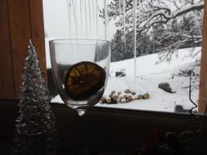 Apartmány Kuřátko v zime