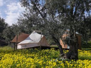 a white tent in a field of yellow flowers at I Giardini del Caramante in Soverato Marina