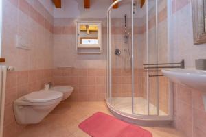 a bathroom with a shower and a toilet and a sink at El Feral - Mansarda in Selva di Cadore +26 photos