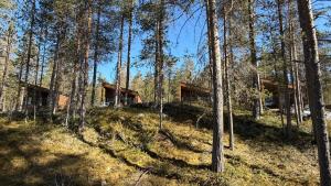 a cabin in the woods with trees in the foreground at Femund Canoe Camp in Drevsjø