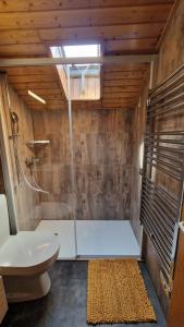 a bathroom with a shower and a toilet and a sink at Chalet Lu Verzache 5 personnes in Evolène