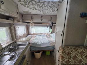a small caravan with a bed and a sink at Bed and Breakfast Reestdal in Meppel
