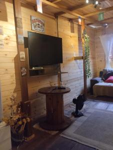 a room with a tv on a wooden wall at Cabana Hostel Guarulhos - SELF CHECK IN in Guarulhos
