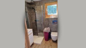 a bathroom with a shower and a toilet at Domek wakacyjny Domysłów in Domysłów