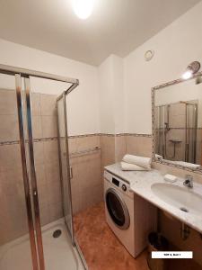 a bathroom with a sink and a washing machine at Bel Appartement Bad Kleinkirchheim in Bad Kleinkirchheim +48 photos