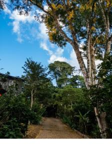 a dirt road through a forest with trees at Chalé Carrara, um Refúgio de Pedra na Mata - Chalés Flor dos Manacás in Santa Teresa +11 photos