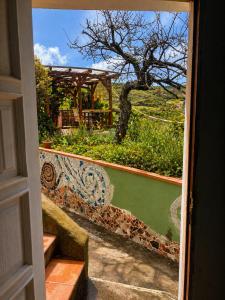 a view of a garden from an open door at The Good Vibes Home in Hoya de Pineda
