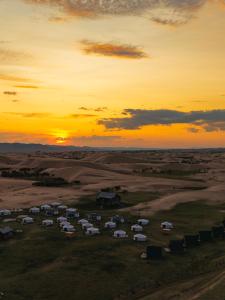 a group of tents in a field at sunset at Mongol Altai Tour Camp in Högönö-Taranaiin-Hüree