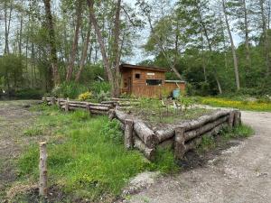 a wooden cabin with a garden in a field at La Cabane du Bûcheron in La Teste-de-Buch +12 photos