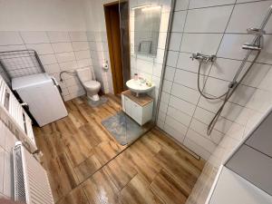 a bathroom with a toilet and a sink and a shower at BrezINNa - 200 let historie - moderní chalupa in Počátky +27 photos