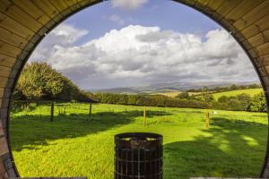 an arched window looking out at a green field at The Dairy in Lifton
