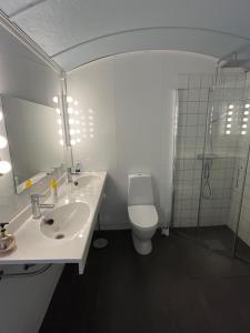 a bathroom with a sink and a toilet and a mirror at Hendriks Matz-Roan in Åmot