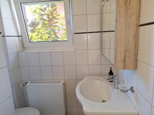 a small bathroom with a sink and a window at Fewo Holtwicker Ei in Rosendahl