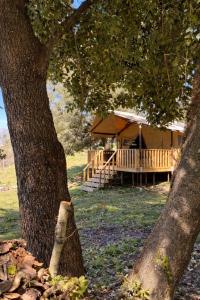 ภาพในคลังภาพของ Éco-lodge, tente au cœur d'une forêt nourricière ในCastello-di-Rostino +2 ภาพ