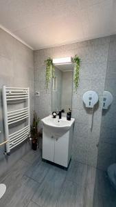 a bathroom with a white sink and a mirror at Casa Ducaru Moieciu de Sus in Moieciu de Sus +14 photos