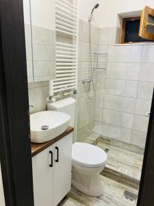 a bathroom with a toilet and a sink and a shower at Casa Bradu in Mangalia