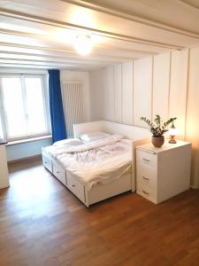 a bedroom with a white bed and a potted plant at Grosse Charmante Wohnung in Erlach