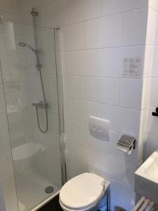 a bathroom with a shower with a toilet and a sink at B&B De Hofnar Roermond in Roermond +15 photos