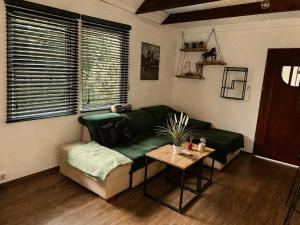a living room with a green couch and a table at Domki Na Ranczo in Gniezno +31 photos