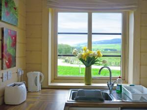 a kitchen with a vase of flowers in a window at Skylark Lodge - Uk51678 in Carsethorn +9 photos