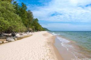 a sandy beach with trees and the ocean at Fint Tiny house på Österlen in Sankt Olof +29 photos