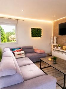 a living room with a couch and a tv at Villa Heaven Green in Pazin