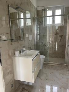 a bathroom with a sink and a shower and a toilet at Bellavista in Brezzo +21 photos