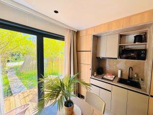 a kitchen with a table and a plant in a room at Bambou Lodge & Spa in Arles