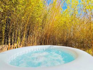 a bath tub with blue water in a field at Bambou Lodge & Spa in Arles